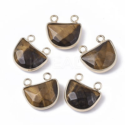 Natural Tiger Eye Semi Circle Pendants G-S359-011C-1