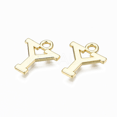 Alloy Charms PALLOY-Q441-025Y-NR-1