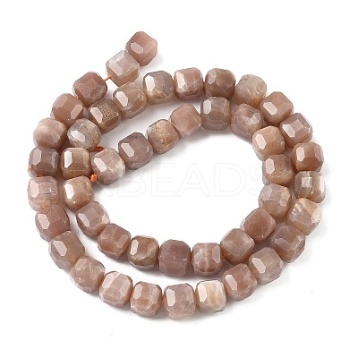 Natural Sunstone Beads Strands G-C267-A08-1