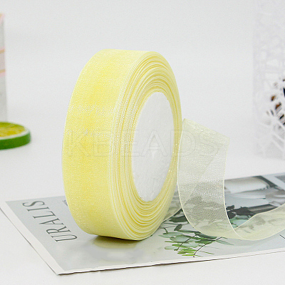 Polyester Organza Ribbon FABR-PW0001-003A-02-1