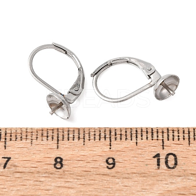 304 Stainless Steel Leverback Earring Findings STAS-G385-04P-1
