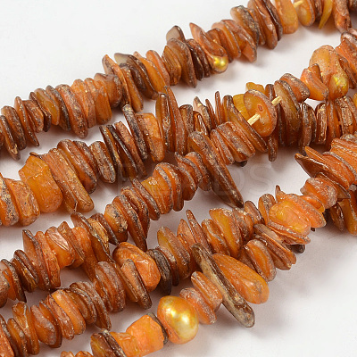 Natural Shell Beads Strands PBB226Y-1-1