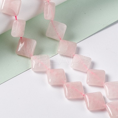 Natural Rose Quartz Beads Strands G-L254-12-1