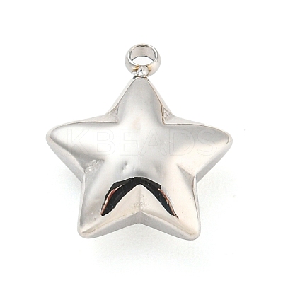 Non-Tarnish 304 Stainless Steel Charms X-STAS-P333-08P-1