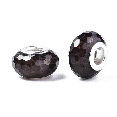 Resin European Beads RPDL-S009-06-1