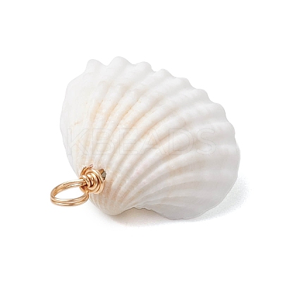 Summer Beach Natural Shell Pendants PALLOY-JF02648-02-1