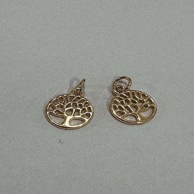 Alloy Charms FIND-WH0032-80G-1
