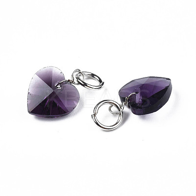 Faceted Transparent Glass Charms GLAA-T024-04-1
