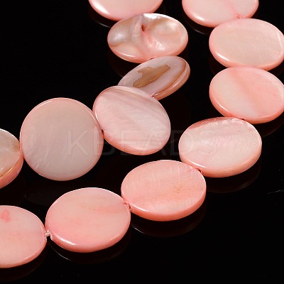 Natural Shell Beads Strands X-PBB251Y-6-1