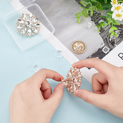 2Pcs Alloy Rhinestone Shoe Decorations AJEW-FG0003-72B-1