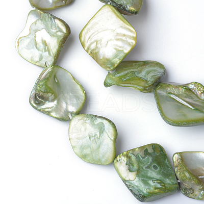 Natural Sea Shell Beads X-S00EA041-1