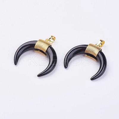 Natural Black Agate Pendants G-L466-A05-1