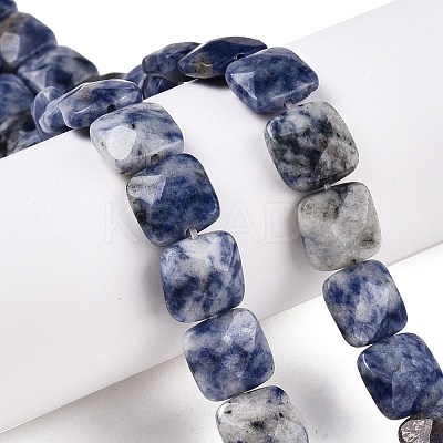 Natural Blue Spot Jasper Beads Strands G-T138-172-1
