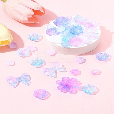 60G Transparent Acrylic Beads OACR-FS0001-90B-1