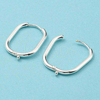 316 Surgical Stainless Steel Hoop Earrings Findings STAS-N097-055S-1