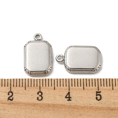 Non-Tarnish 304 Stainless Steel Charms STAS-L022-185P-1