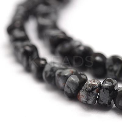 Natural Snowflake Obsidian Beads Strands G-F465-11-1