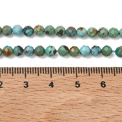 Natural HuBei Turquoise Beads Strands G-P629-A04-03-1