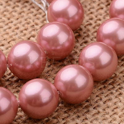 Polished Round Grade A Shell Pearl Bead Strands BSHE-M027-6mm-13-1
