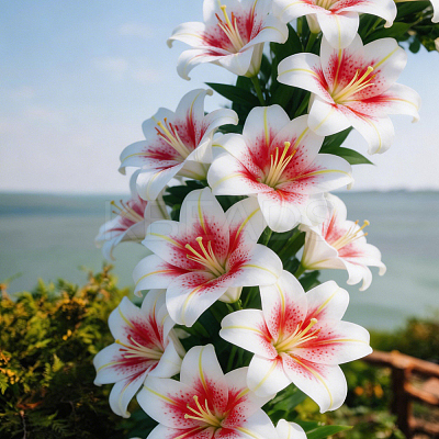 PVC Artificial Lily Flower Heads DIY-WH0591-594-1