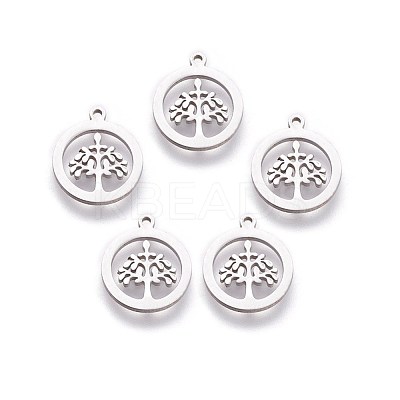Non-Tarnish 304 Stainless Steel Charms STAS-I098-03-1