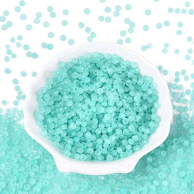 FGB Frosted Transparent Glass Seed Beads SEED-N013-04A-10-1
