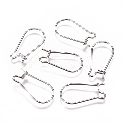Non-Tarnish 304 Stainless Steel Hoop Earrings Findings Kidney Ear Wires LS-STAS-G200-01A-P-1