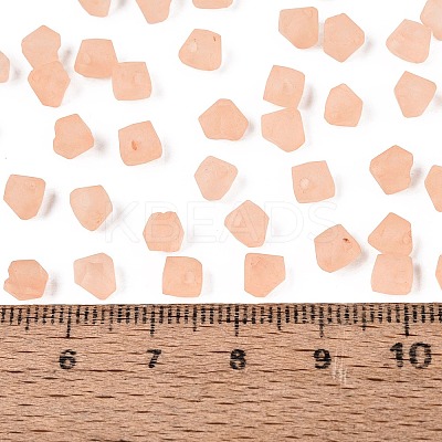 FGB Frosted Transparent Glass Seed Beads SEED-N013-03A-04-1