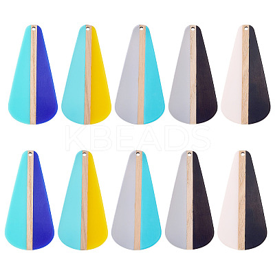10Pcs 5 Colors Transparent & Opaque Resin & Wood Pendants RESI-TA0004-66-1
