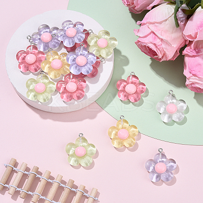 15Pcs Translucent Resin Pendants RESI-YW0004-55-1