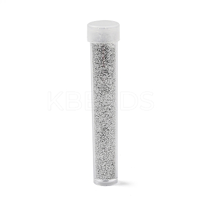 Plastic Glitter Powder Fillers LS-AJEW-H144-01B-1