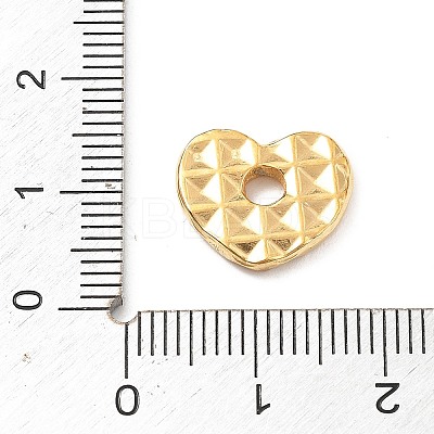 304 Stainless Steel Charms STAS-I334-08G-1