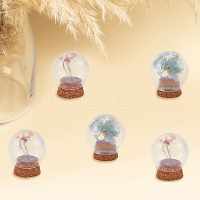 5 Sets 5 Style Round Iridescent Glass Dome Cover AJEW-DR0001-08-1