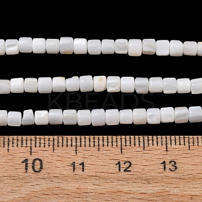 Natural Freshwater Shell Beads Strands SH-CBA2978-21C-1