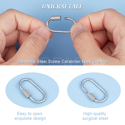 6Pcs 304 Stainless Steel Screw Carabiner Lock Charms STAS-UN0045-32-1