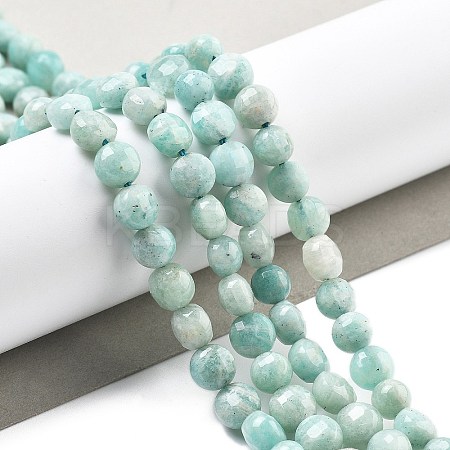 Natural Amazonite Beads Strands G-C179-J01-01-1