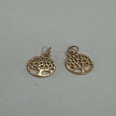Alloy Charms FIND-WH0032-80G-1