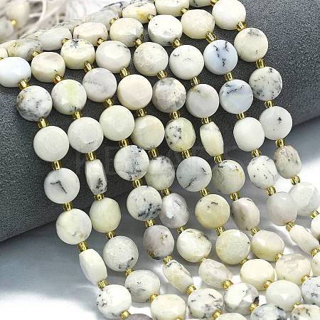 Natural White African Opal Beads Strands G-C116-A131-01-1