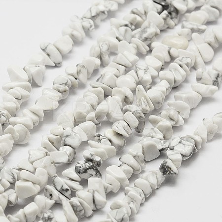 Natural Howlite Beads Strand LS-G-F328-05-1