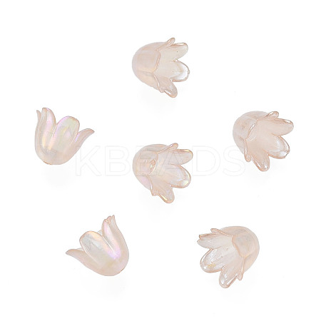 6-Petal Imitation Jelly Acrylic Bead Caps LS-X-JACR-T002-02D-1