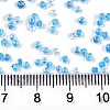 12/0 Glass Seed Beads X-SEED-A014-2mm-133B-4