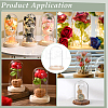 30Pcs Arch Glass Dome Cover AJEW-BC0008-85A-5