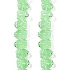Transparent Glass Enamel Beads Strands GLAA-B021-05B-1