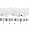 Transparent Glass Enamel Beads Strands GLAA-B021-05A-4