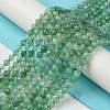 Natural Green Strawberry Quartz Beads Strands X-G-Z034-A02-03-2