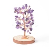 Natural Amethyst Chips with Brass Wrapped Wire Money Tree on Wood Base Display Decorations DJEW-B007-05B-1