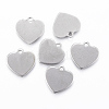 201 Stainless Steel Charms STAS-H422-11P-1