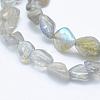 Natural Labradorite Beads Strands G-K203-12-3