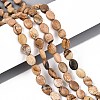 Natural Picture Jasper Beads Strands G-T142-30-1