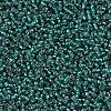 MIYUKI Round Rocailles Beads X-SEED-G007-RR0030-3